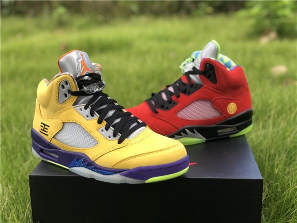 Air Jordan 5 SE What The to buy