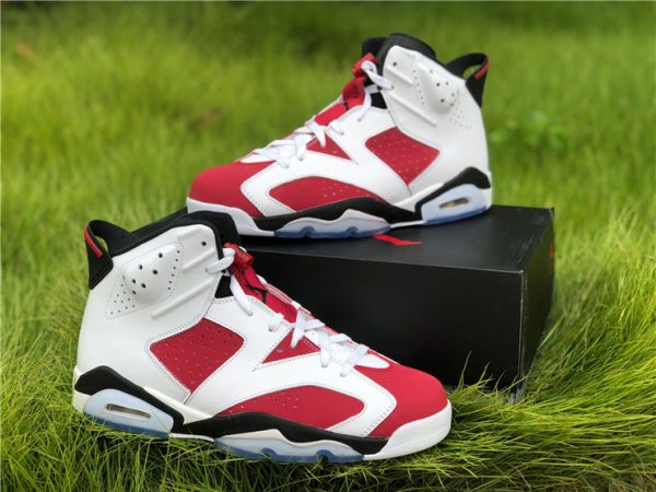 Air Jordan 6 Retro Carmine panel