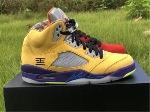 New Air Jordan 5 SE What The