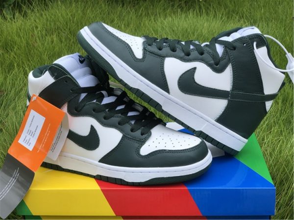 Nike Dunk High Pro Green 2020 shoes