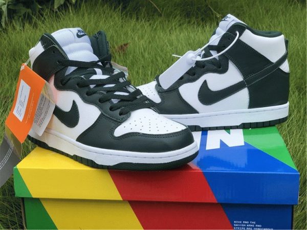 Nike Dunk High Pro Green mudguard