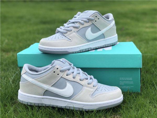 Nike Dunk Low SB Summit White shoes