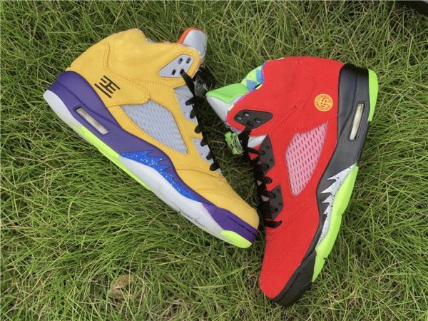 What The Air Jordan 5 SE panels