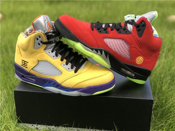 latest new Air Jordan 5 SE What The