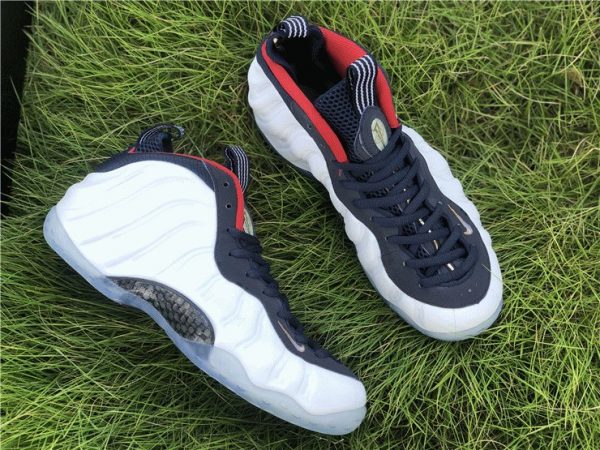 Nike Air Foamposite One Olympic carbon fiber