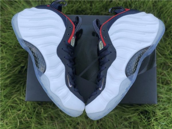 Nike Air Foamposite One Olympic panel