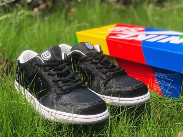 Nike SB Dunk Low X Medicom Toy shoes