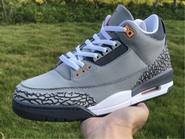 New Air Jordan 3 Cool Grey 2021 sneaker