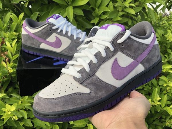 Nike Dunk SB Low Purple Pigeon on hand