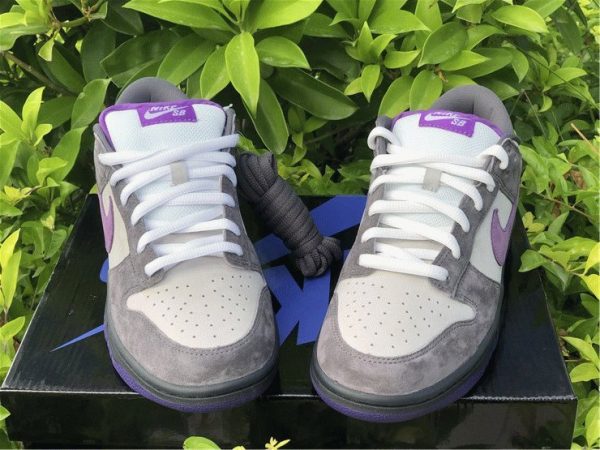 Nike Dunk SB Low Purple Pigeon tongue