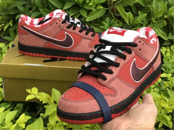 Nike Dunk SB Low Red Lobster close look