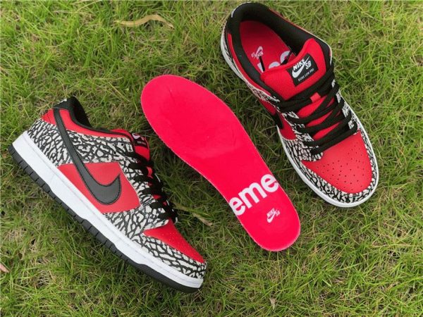 Nike Dunk SB Low Supreme Red Cement detail