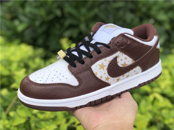 Supreme Nike SB Dunk Low on hand