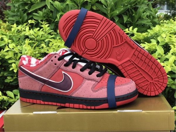 new Nike Dunk SB Low Red Lobster