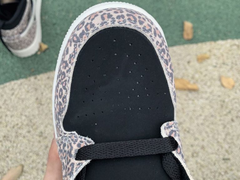 cheetah jordan 1