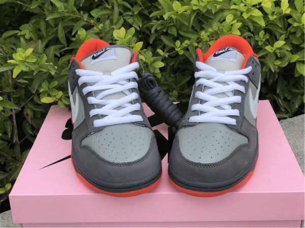 Nike Dunk SB Low Staple NYC Pigeon tongue