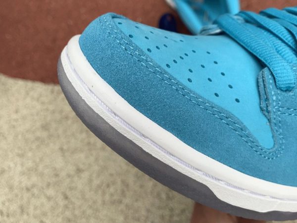 2020 Nike SB Dunk Low Blue Fury mudguard