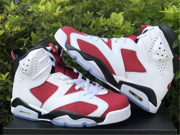 2021 Air Jordan 6 Carmine