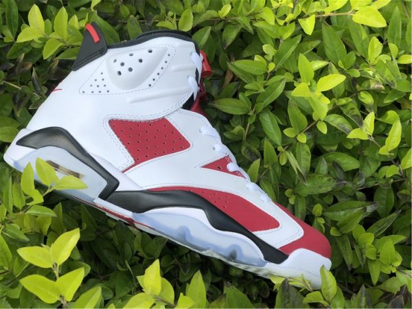 Air Jordan 6 Carmine panel