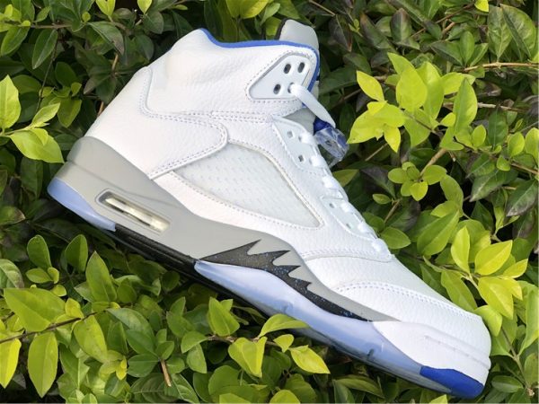 Hyper Royal Air Jordan 5 Stealth relase