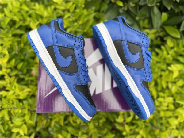 Nike Dunk Low Hyper Cobalt panels