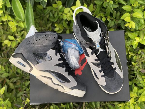 Tech Chrome Air Jordan 6 Retro sneaker