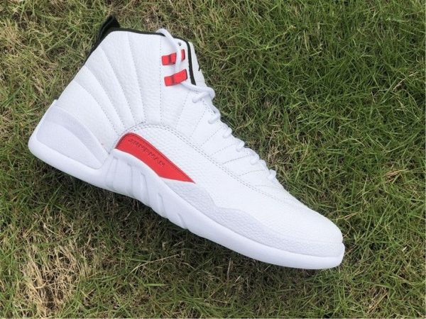 Twist Air Jordan 12 panels