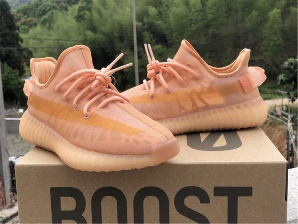 adidas Yeezy 350 Boost V2 Mono Clay shoes