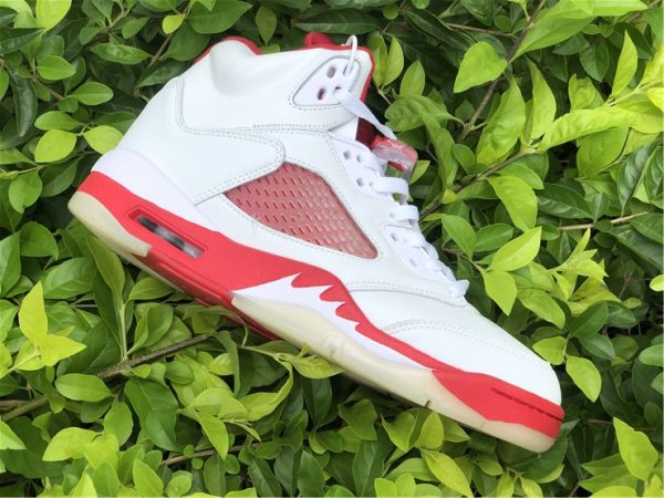 Air Jordan 5 Pink Foam panel