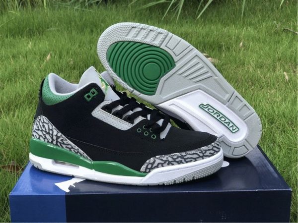 Air Jordan 3 Pine Green overall