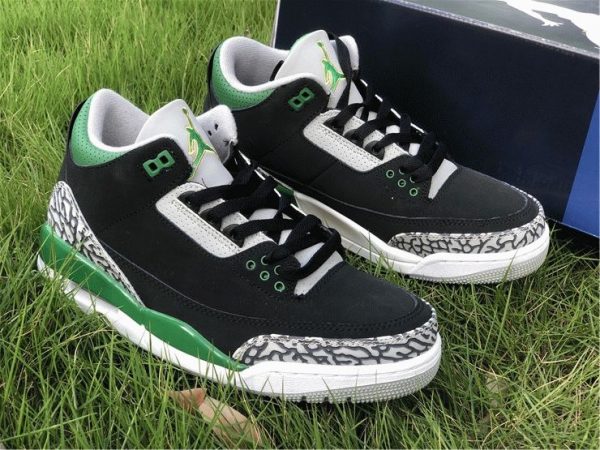 Air Jordan 3 Pine Green shoes