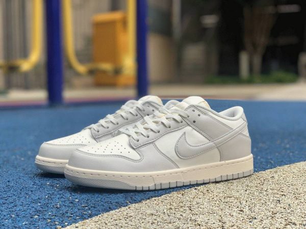 Nike Dunk Low Sail Light Bone DD1503-107 shoes