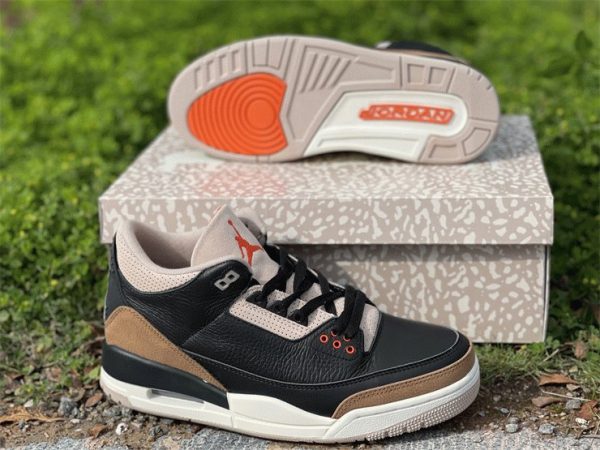 Air Jordan 3 Desert Elephant orange