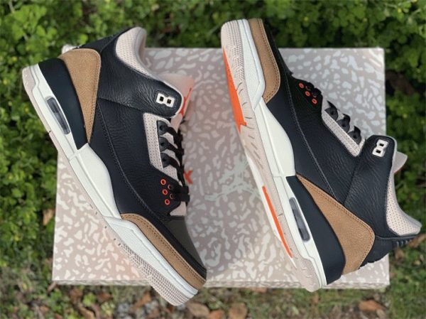 Air Jordan 3 Desert Elephant sail