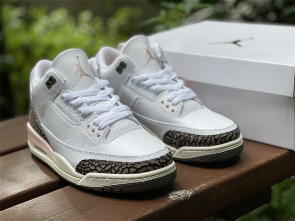 Jordan 3 Retro Neapolitan Dark Mocha for sale