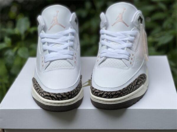 Jordan 3 Retro Neapolitan Dark Mocha front