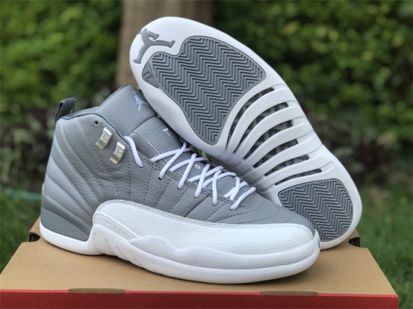 Air Jordan 12 Stealth White-Cool Grey CT8013-015