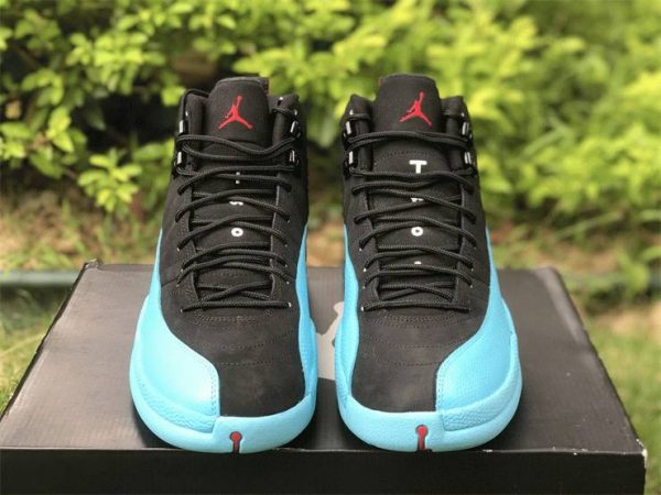 Air Jordan 12 Retro Gamma Blue front