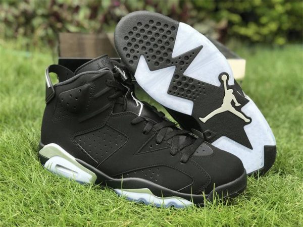 Metallic Silver Air Jordan 6 2022 for sale