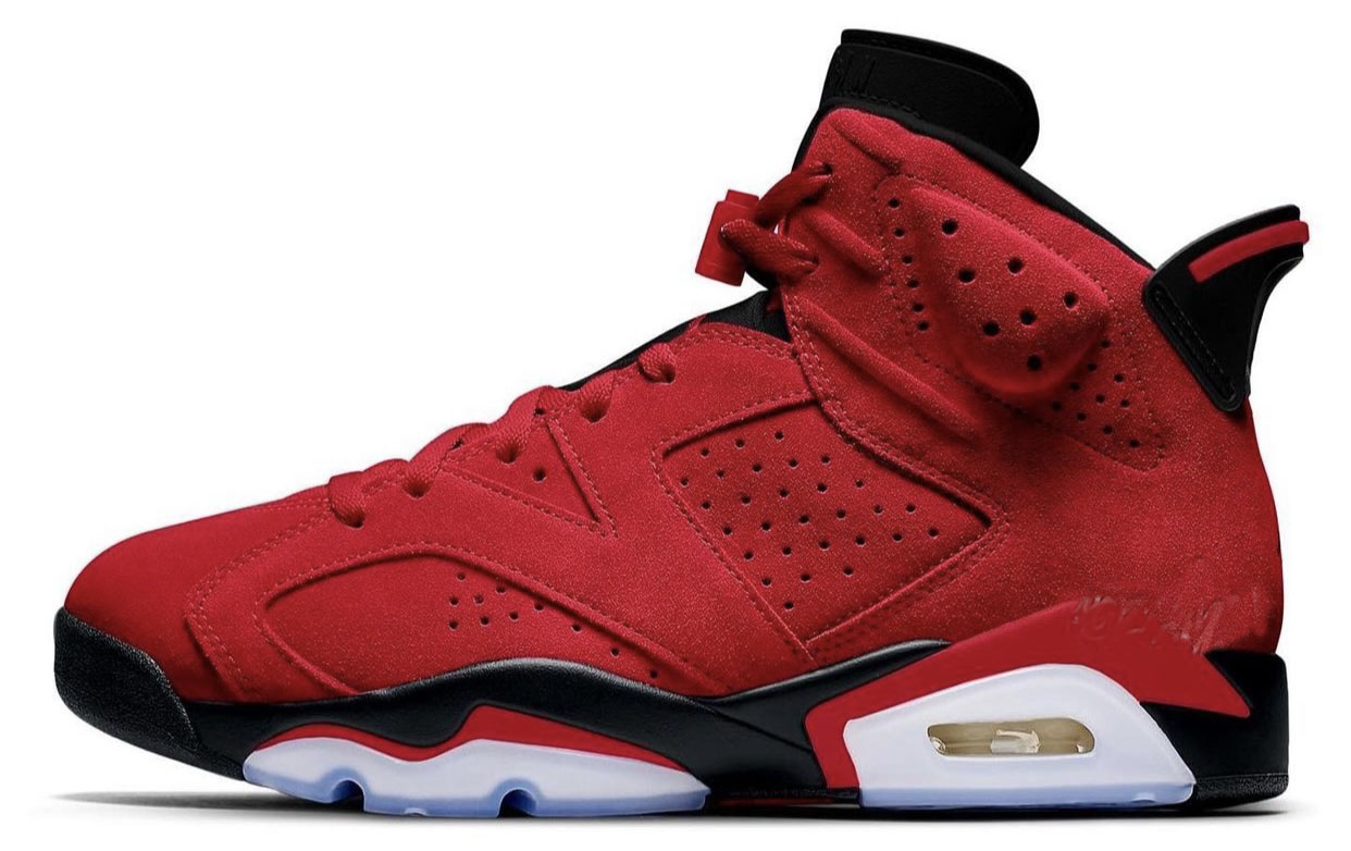 Toro Air Jordan 6